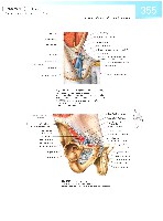 Sobotta  Atlas of Human Anatomy  Trunk, Viscera,Lower Limb Volume2 2006, page 362